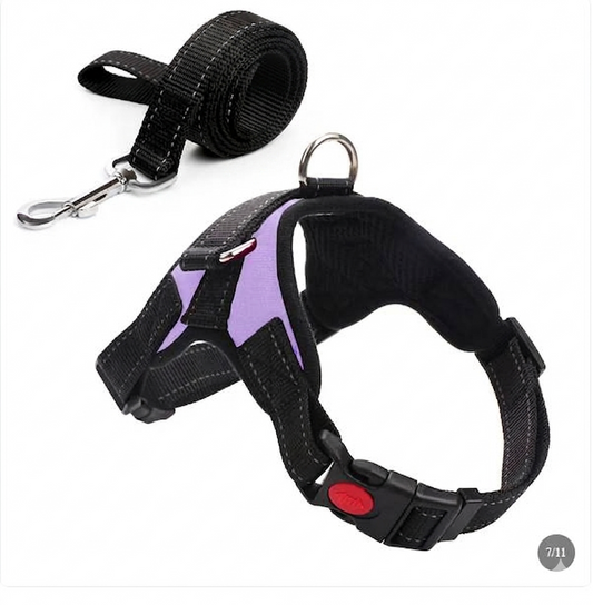 Camouflage Dog Harness & Leash Set