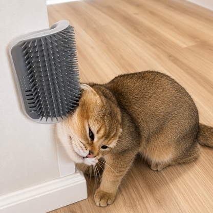 Cat Self-Grooming Wall Brush with Catnip Compartment