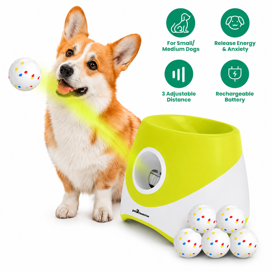 Automatic Dog Ball Launcher for Small & Medium Dogs | Rechargeable Fetch Toy