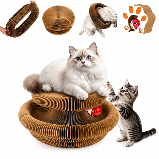 Accordion Cat Scratcher & Interactive Ball Toy
