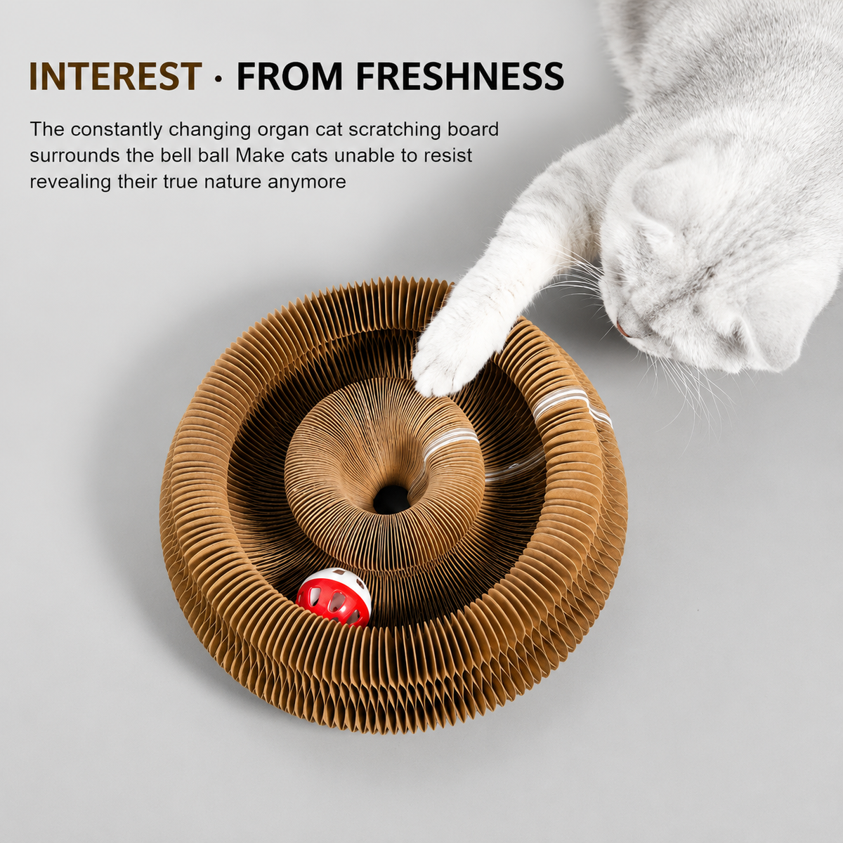 Accordion Cat Scratcher & Interactive Ball Toy
